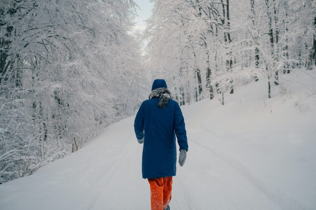a person walking out in the woods in the snow, a photo being used for a blog to stay fit this winter